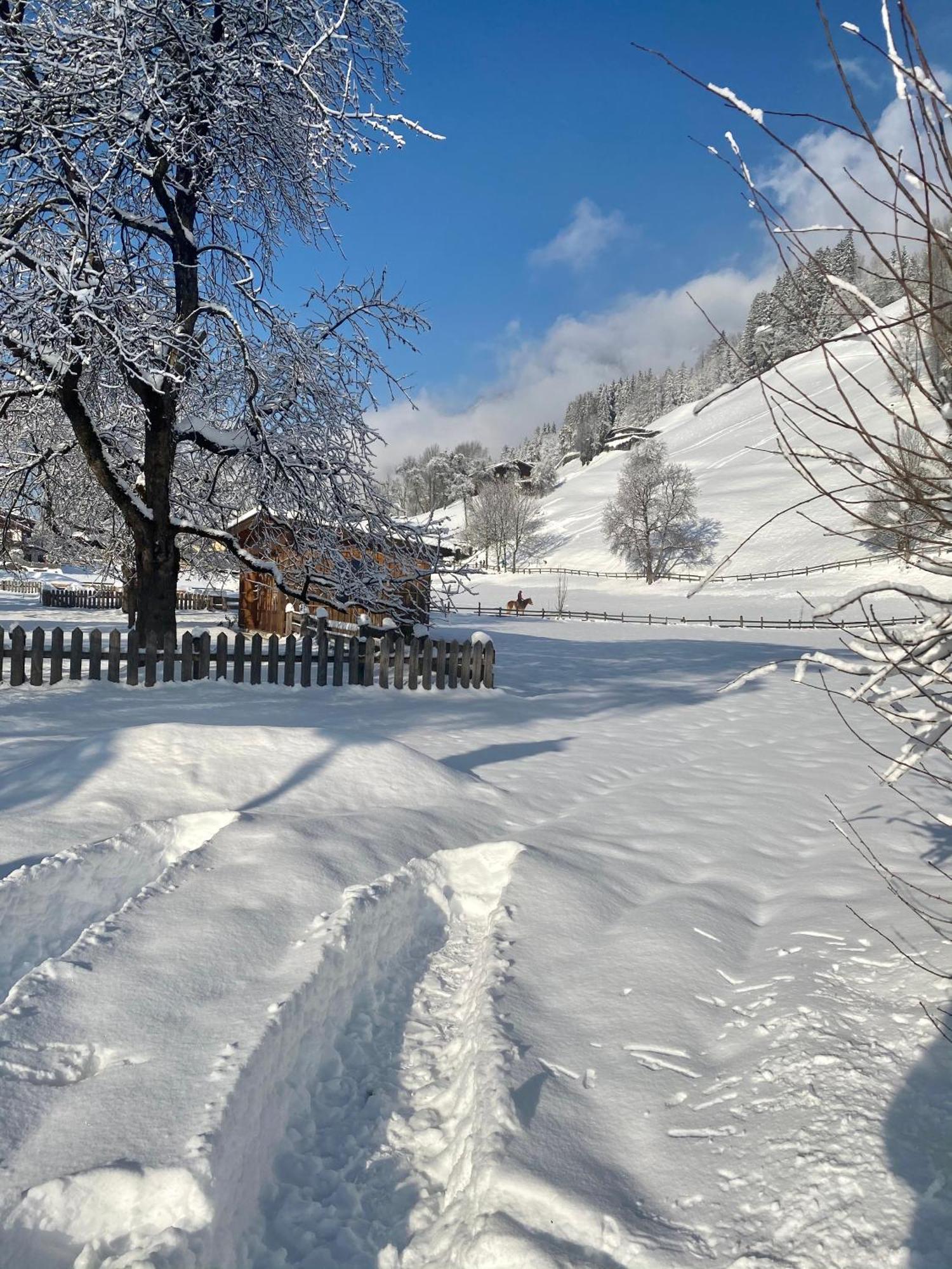 Gasthof Neumeister Stumm Luaran gambar